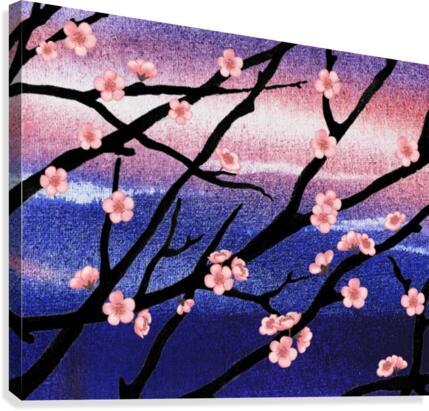 Cherry Blossoms