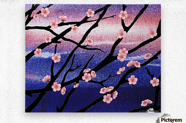 Cherry Blossoms
