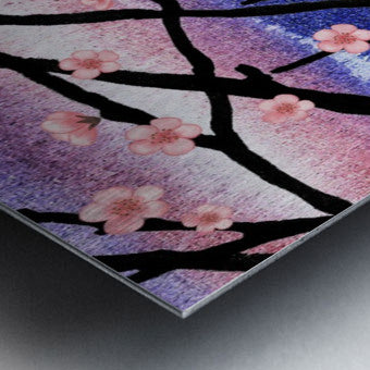 Cherry Blossoms