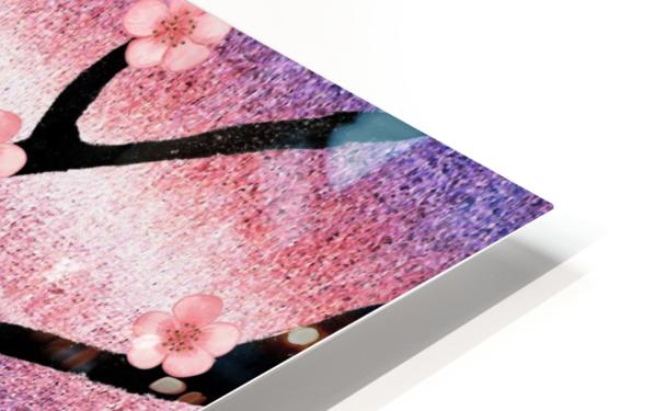 Cherry Blossoms