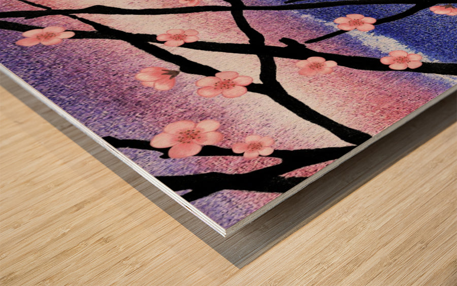 Cherry Blossoms