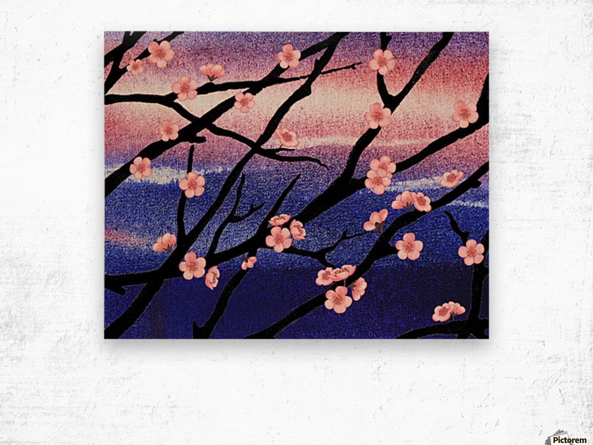 Cherry Blossoms