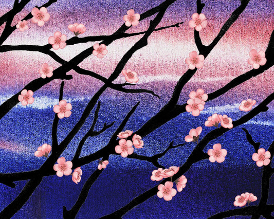 Cherry Blossoms