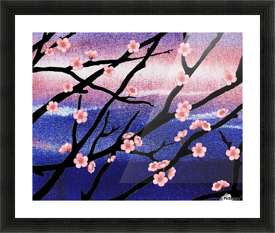 Cherry Blossoms
