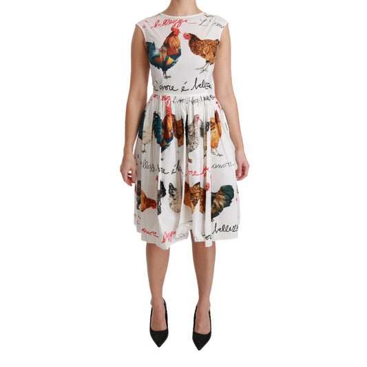 White Rooster A-Line Mini Cotton Dress